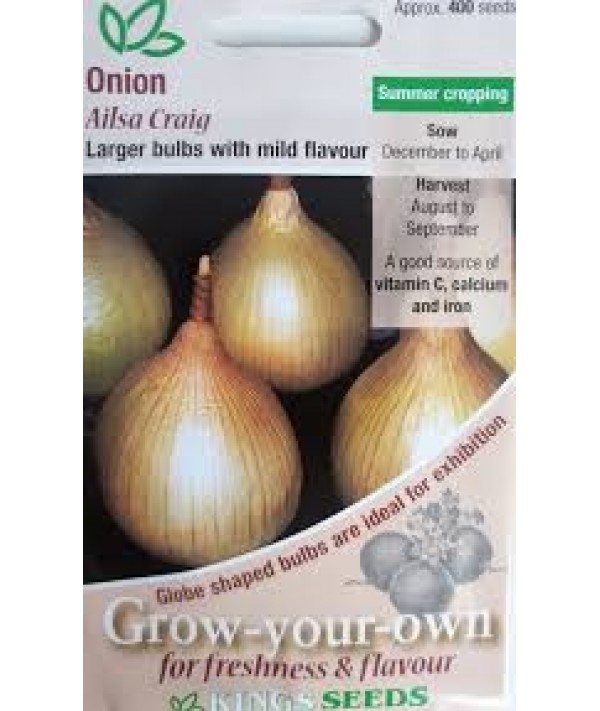 Onion Ailsa Criag Vegetable Seeds