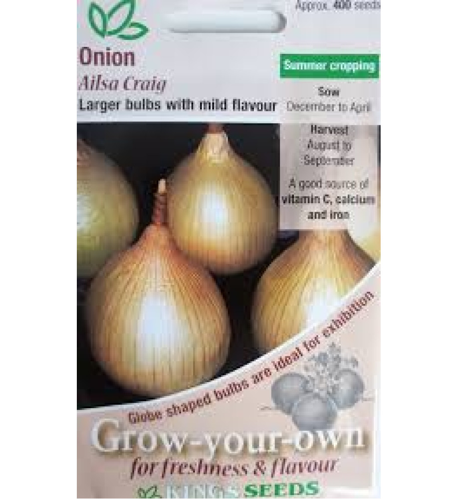 Onion Ailsa Criag Vegetable Seeds