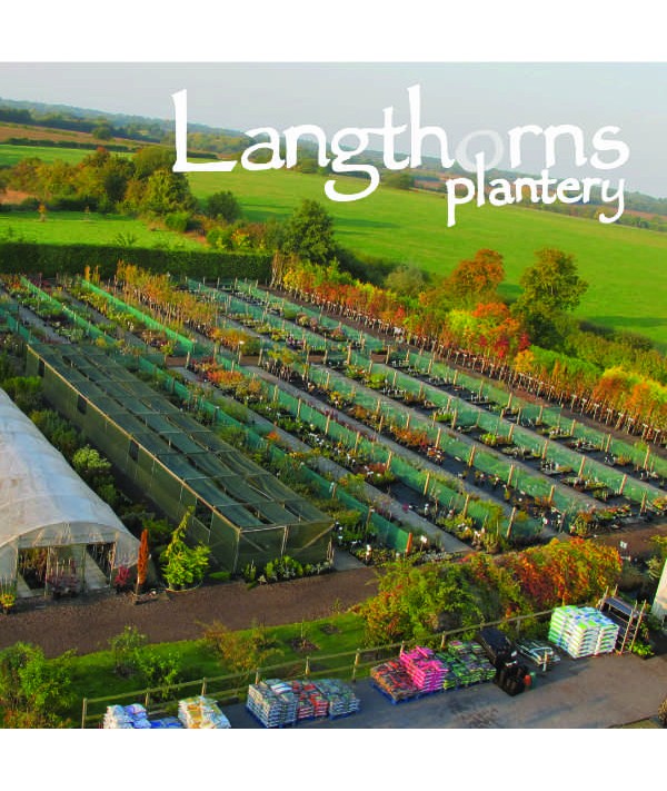 Langthorns Plantery Tour 11.30am Saturday 10th September 2022