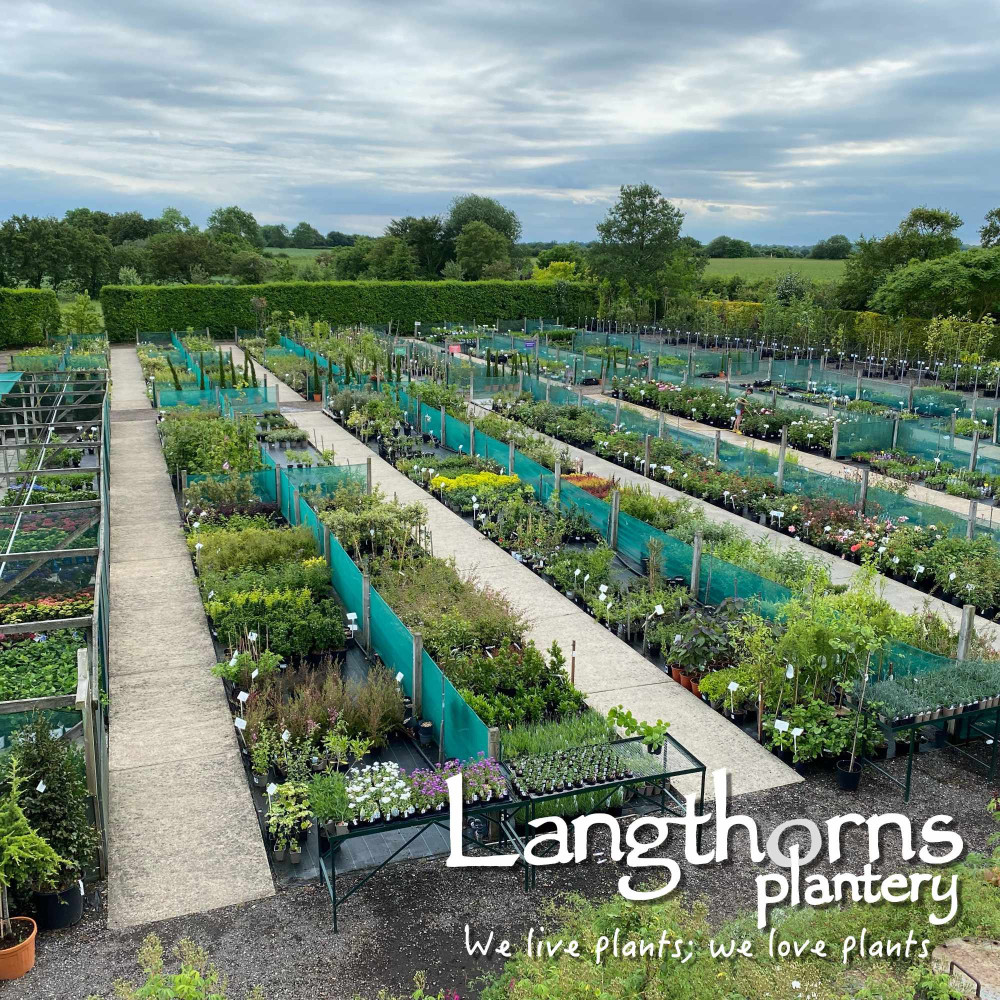Langthorns Plantery Tour 2025 Sunday 7th September 11.30am