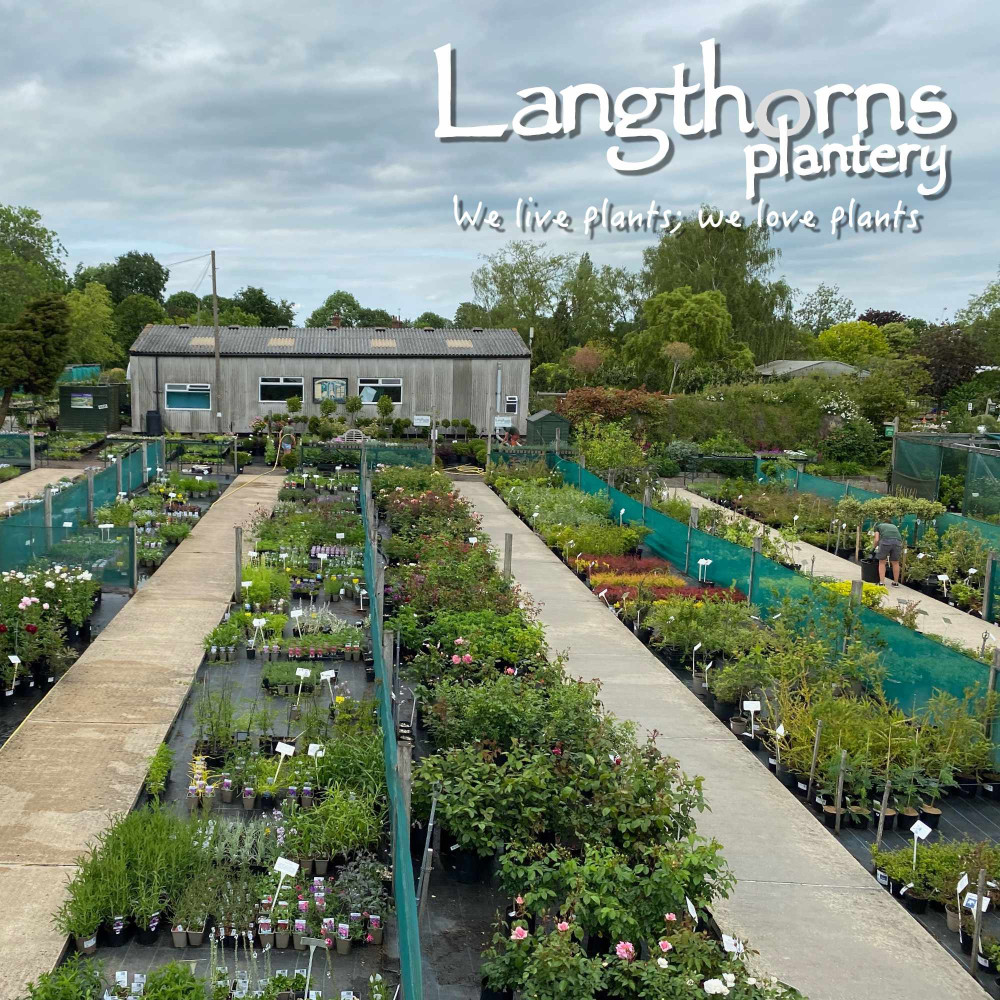 Langthorns Plantery Tour 2025 Sunday 7th September 2.30pm