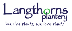 Langthorns Plantery