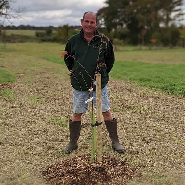 10% OFF all Trees during December and January